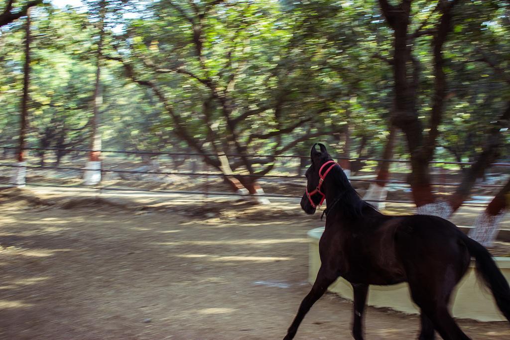 Mati - The Farm Daman Exterior photo